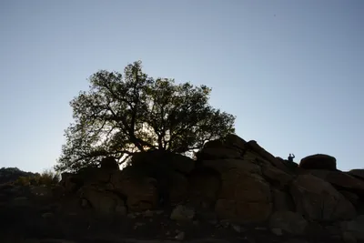 November 2015 - Santa Susana Hike